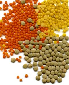 The politics of lentils?